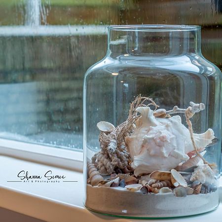 Carpe Diem Egmond Aan Zee By Urban Home Stay Exterior foto